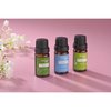 Steamspa Pure Extract Essential Oils Set SS-EOIL6P-XX